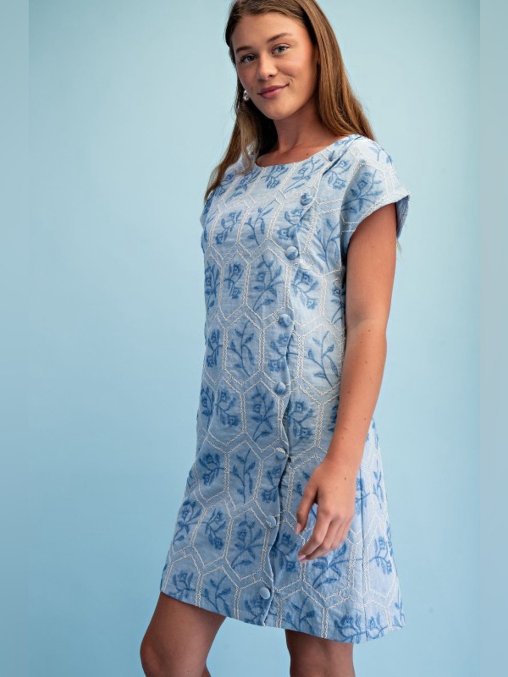 Boutique Embroidered Mini Dress – Blue